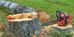 Best Utility Line Clearance  in Fairwood, MD