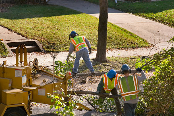 Best Landscape Design and Installation  in Fairwood, MD